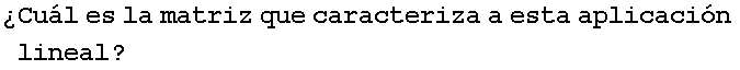 �Cu�l es la matriz que caracteriza a esta aplicaci�n lineal ?