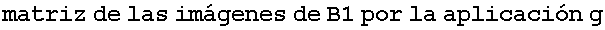 matriz de las im�genes de B1 por la aplicaci�n g