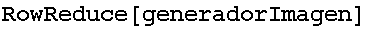 RowReduce[generadorImagen]