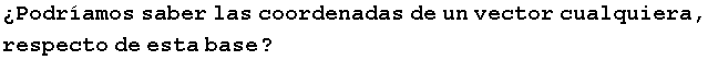 �Podr�amos saber las coordenadas de un vector cualquiera, respecto de esta base ?